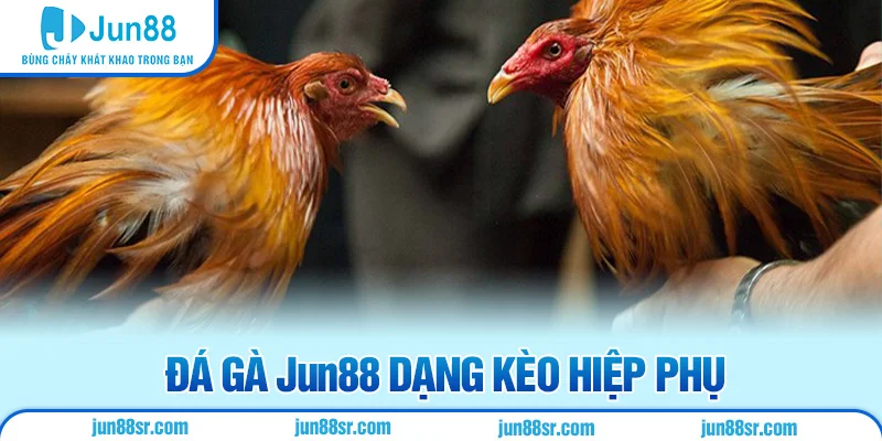 Đá gà Jun88 dạng kèo hiệp phụ