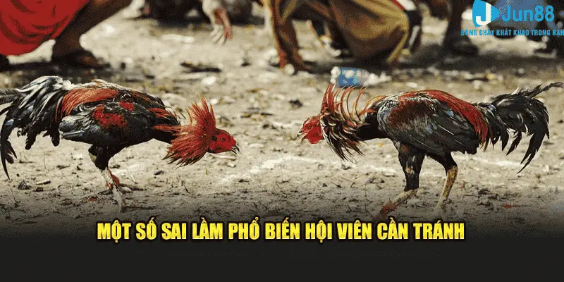 Một số sai lầm phổ biến hội viên cần tránh