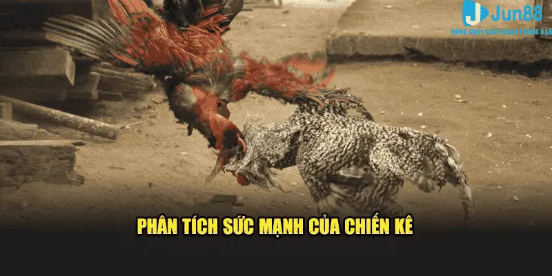 Đánh giá chiến kê trong các trận đấu