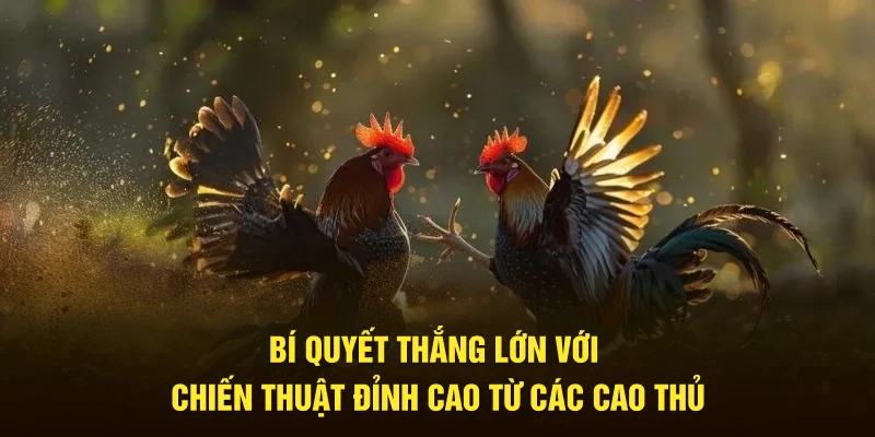 Bí quyết thắng lớn với chiến thuật đỉnh cao từ cao thủ