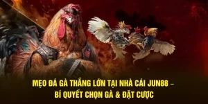 Mẹo đá gà thắng lớn